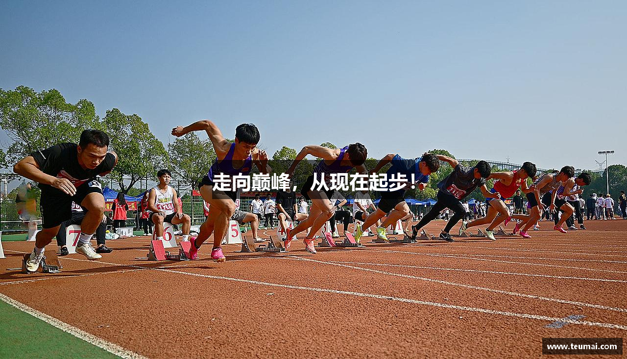 走向巅峰，从现在起步！
